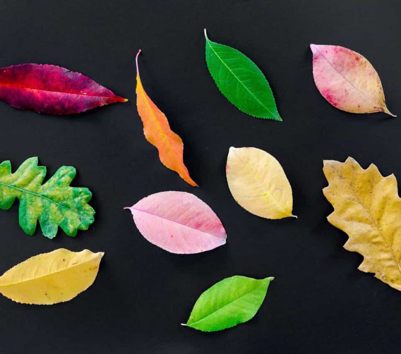 13 Tendances du Marketing digital